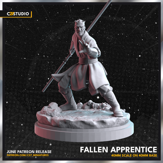 Fallen Apprentice by c27 – Perfect 3D Printed Miniature for Tabletop